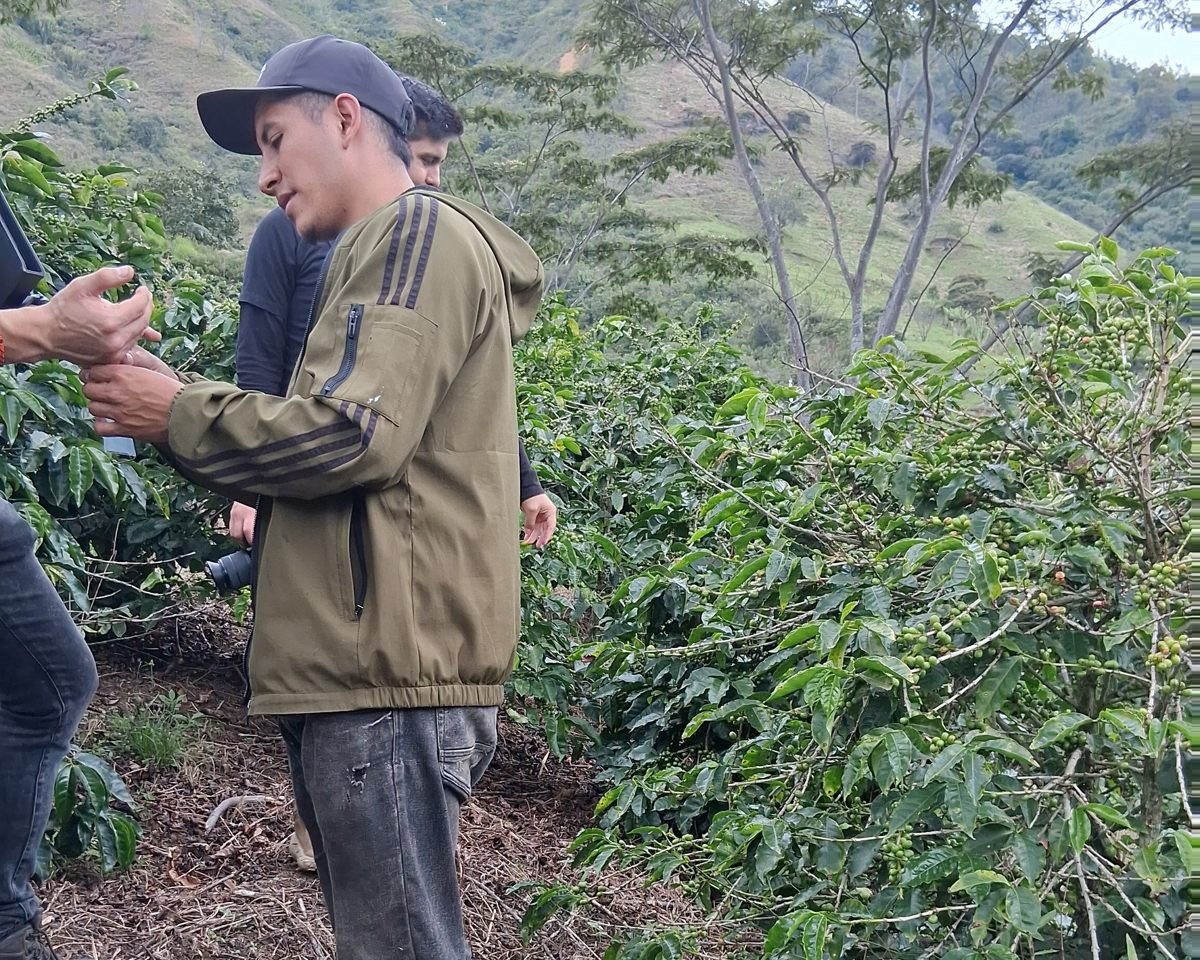 Finca La Mina