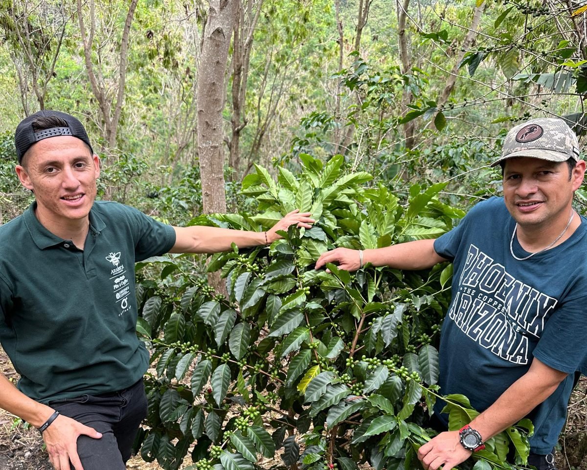 Finca Los Ángeles