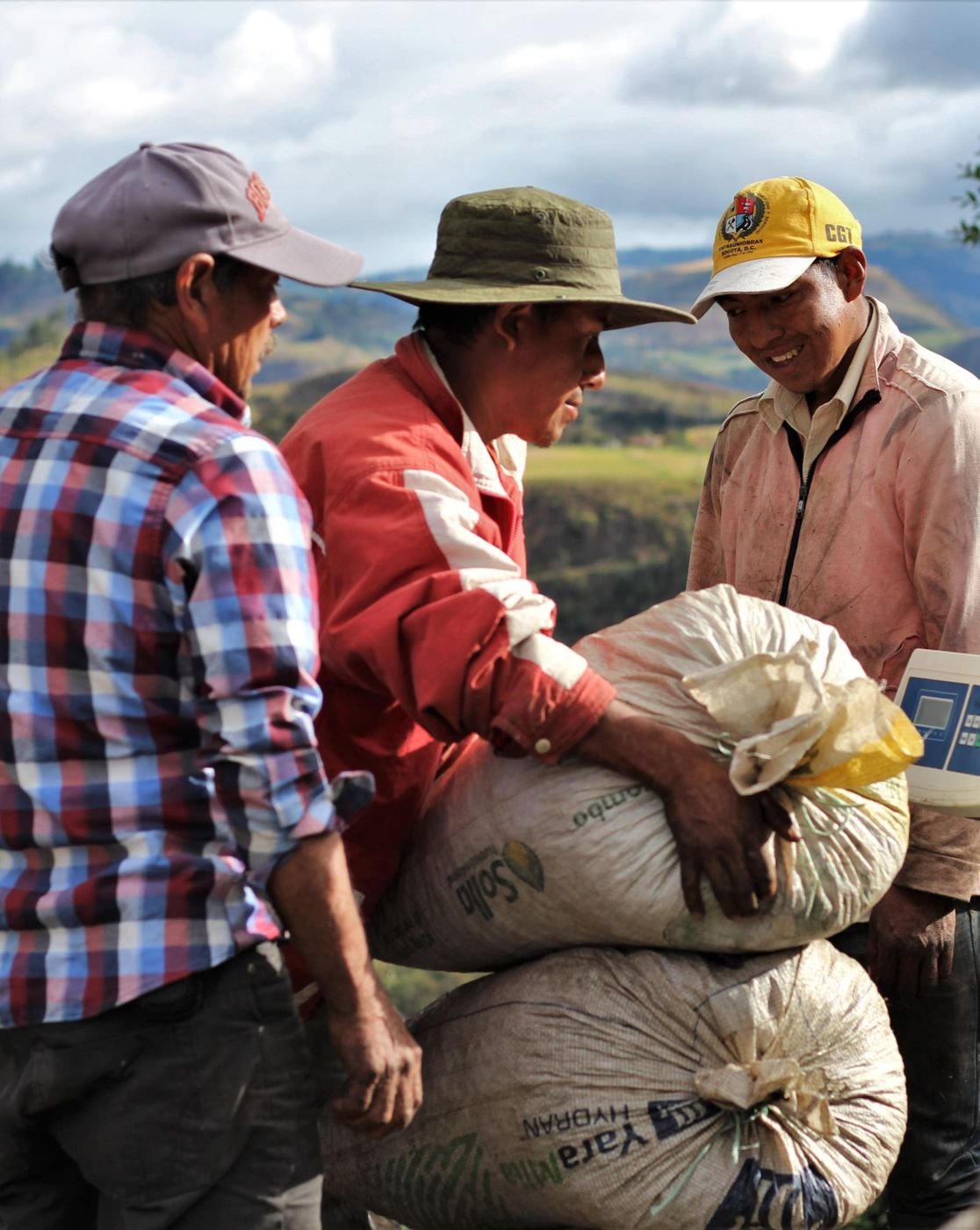 Productores cargando sacos de café